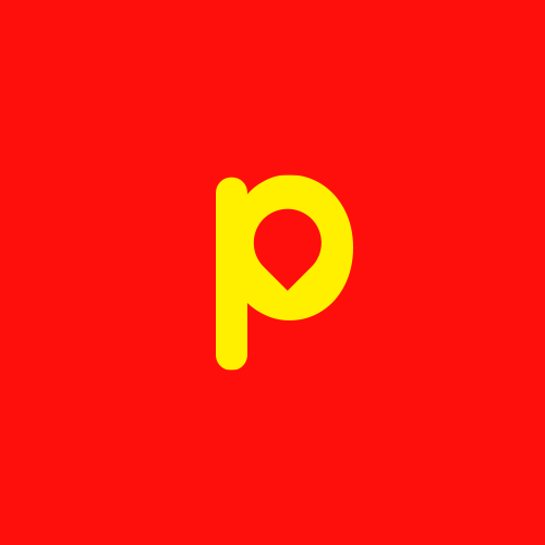 pingparking.com 