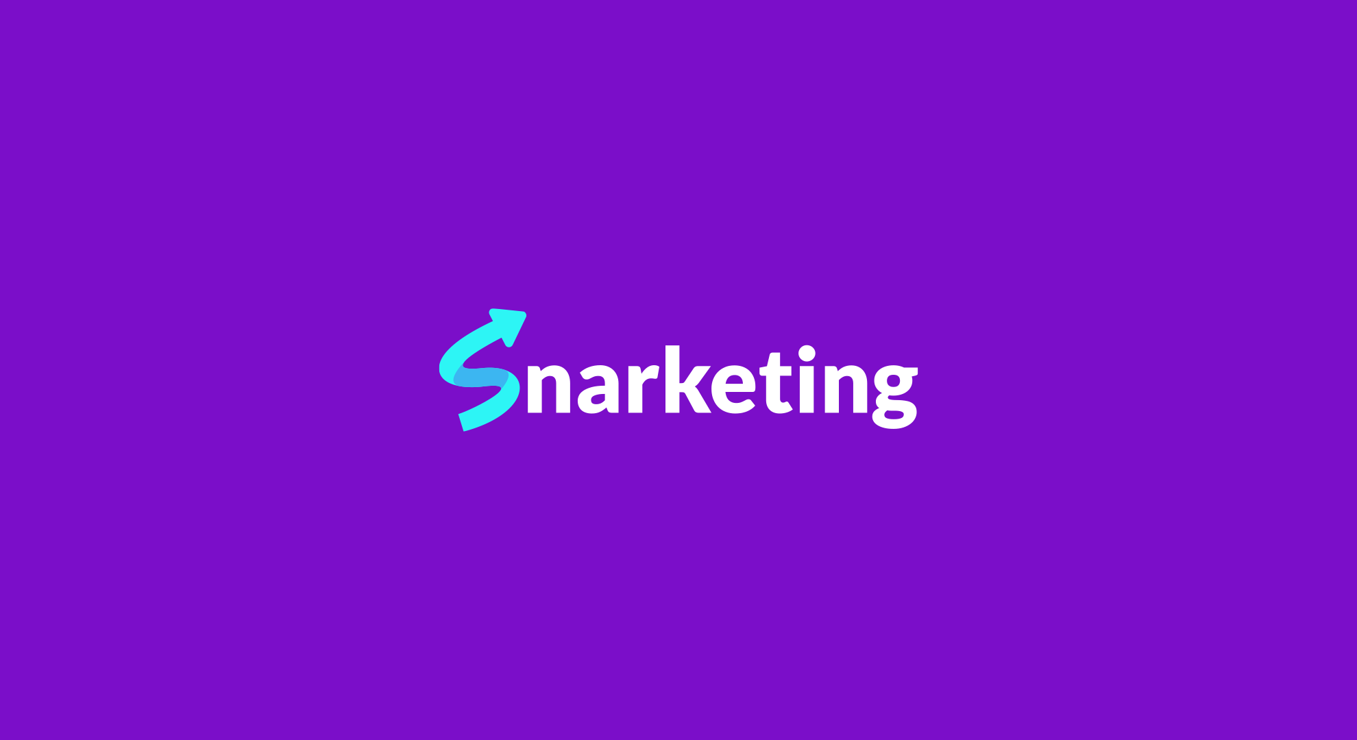snarketing.com