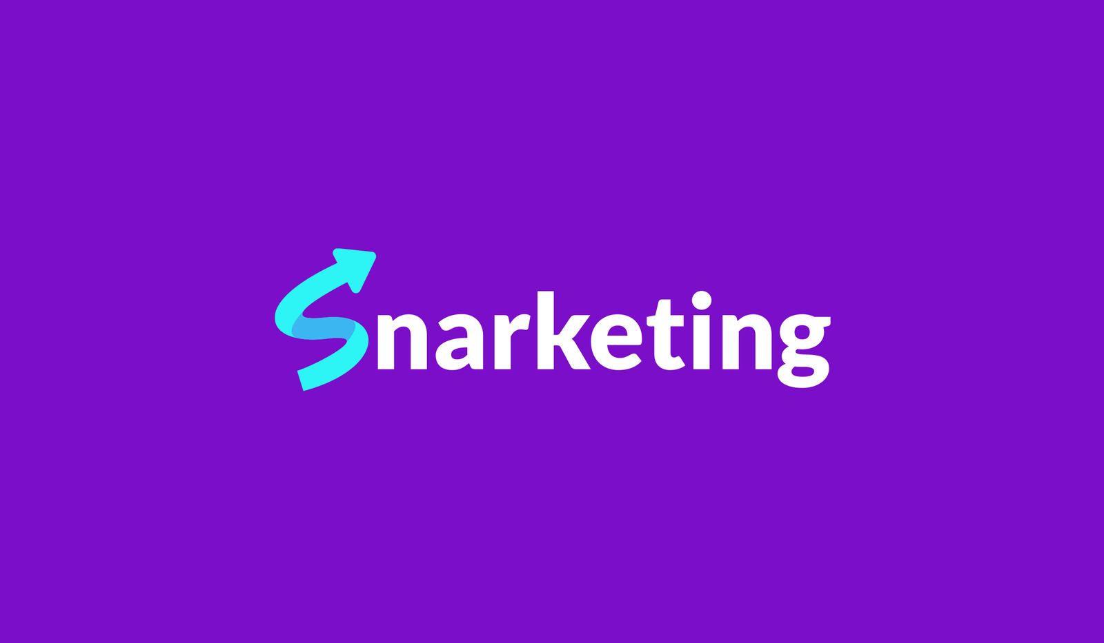 snarketing.com 