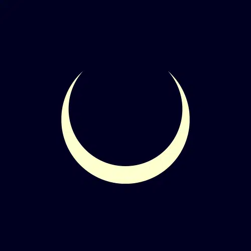 lunarbus.com 