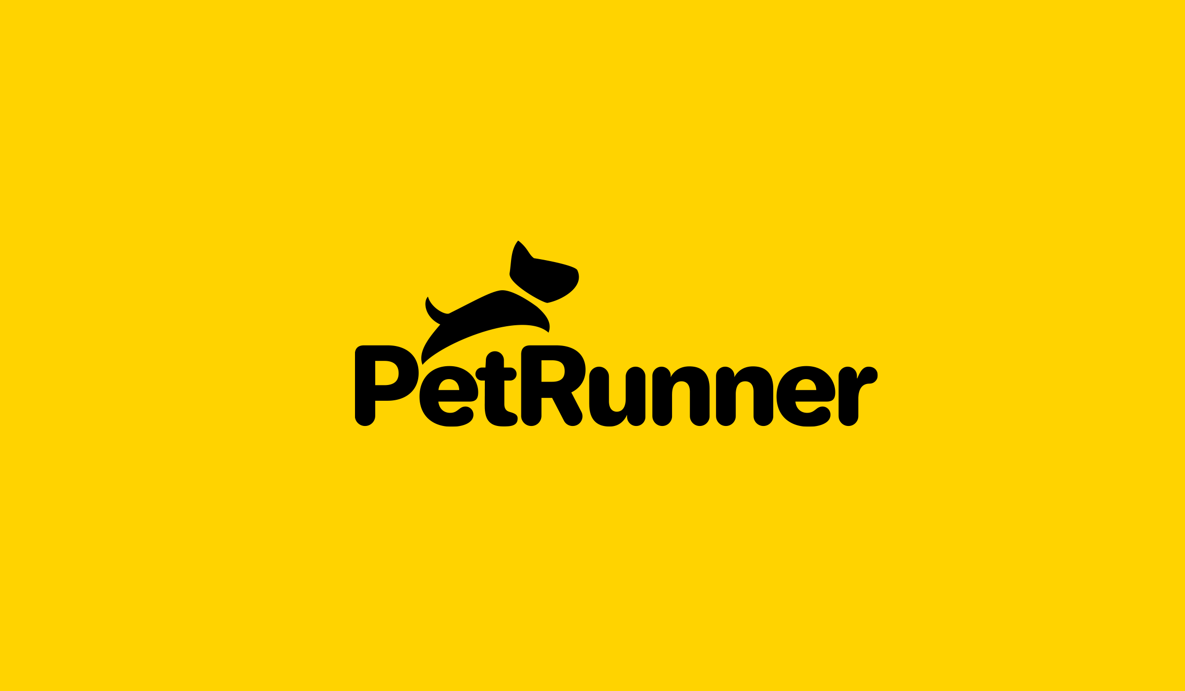 petrunner.com